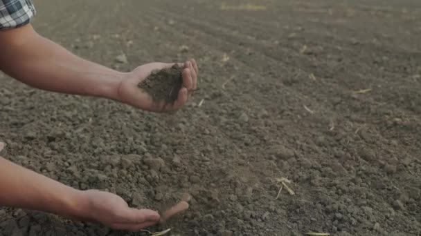 농부의 손으로 들판에서 햇빛을 받으며 한줌씩 정원사는 손바닥에 수정된 부식토를 — 비디오