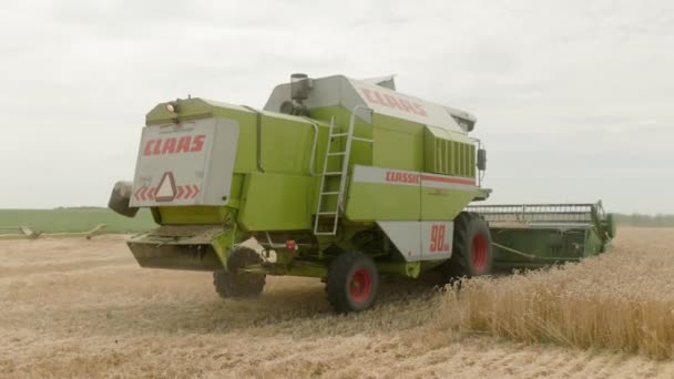 Ukraine Vartekivtsi July 2022 Combine Harvester Harvests Ripe Wheat Ripe — Video