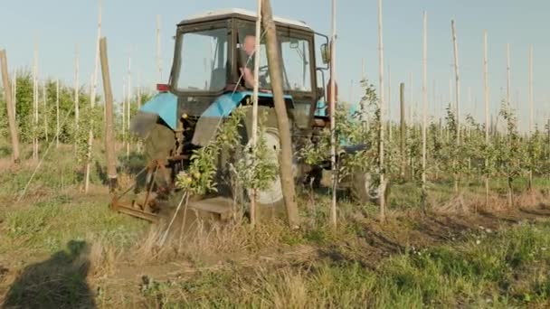 Ukraine Vartekivtsi July 2022 Farmer Driving Tractor Plowing Ground Apple — Vídeos de Stock