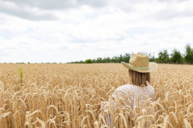 Hasır şapkalı bir kadının altın buğday tarlasında oturuşu. Kümes alanı