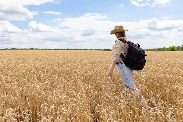 Pohled Zezadu Ženskou Agronomii Cestovním Batohem Kráčejícím Pěšině Uprostřed Pšeničných — Stock fotografie
