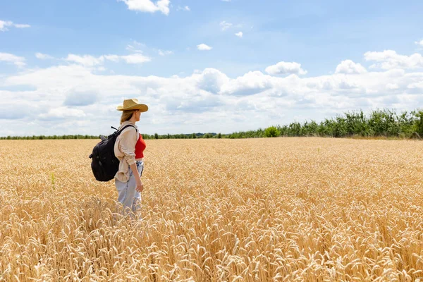 Pohled Zezadu Ženskou Agronomii Cestovním Batohem Kráčejícím Pěšině Uprostřed Pšeničných — Stock fotografie
