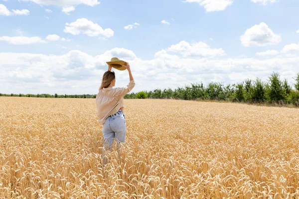 Back View Woman Big Hat Walking Wheat Field Summer Ripe — Stockfoto