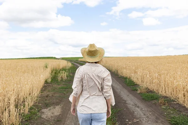 Pohled Ženu Klobouku Kráčí Cestě Mezi Dvěma Poli Zlatou Pšenicí — Stock fotografie