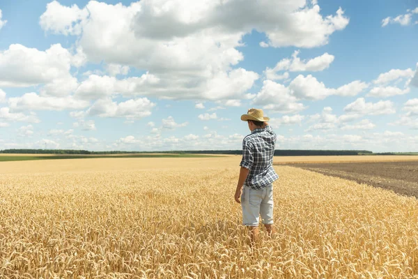 Young Farmer Shirt Hat Stands Middle Endless Field Golden Wheat — Fotografia de Stock