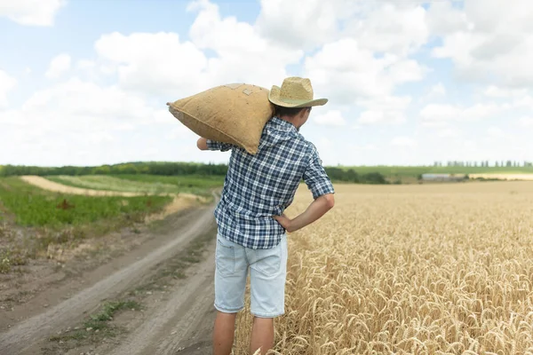 Pohled Zezadu Sedláka Nese Rameni Pytlík Obilím Když Kráčí Pšeničném — Stock fotografie