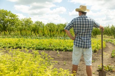 Bahçeyi kazmak üzere olan şapkalı, kürekli bir çiftçinin arka görüntüsü.