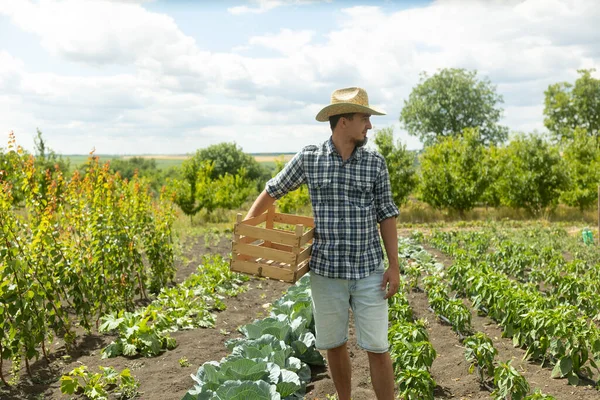 Farmer Man Hat Standing Proud Front Garden Landscape Holding Wooden — Fotografia de Stock