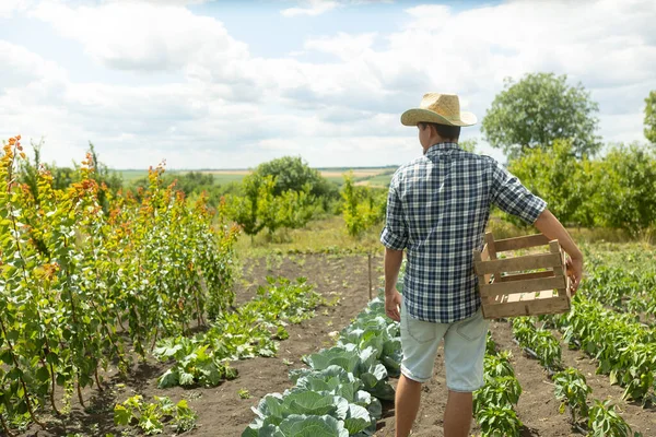 Farmer Man Hat Standing Proud Front Garden Landscape Holding Wooden — Fotografia de Stock