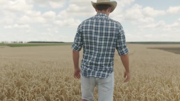 Farmer Straw Hat Walking Ripe Gold Wheat Field Countryside Image — Vídeo de Stock