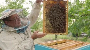 Arıcı elinde arılarla dolu bir bal peteği tutuyor. Arı yetiştiricisi arı kovanındaki bal peteği çerçevesini inceliyor. Arıcılık konsepti yavaş çekim video yaşam tarzı. Arıcı elinde arılarla dolu bir bal peteği tutuyor.
