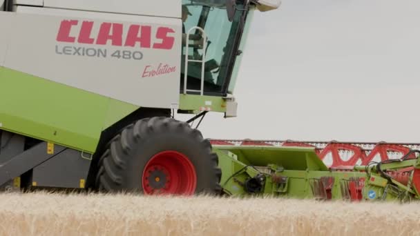 Ukraine Vartekivtsi July 2022 Combine Harvester Harvests Wheat Shears Wheat — Video