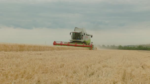 Ukraine Vartekivtsi July 2022 Combine Harvester Harvests Wheat Shears Wheat — Video