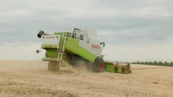 Ukraine Vartekivtsi July 2022 Combine Harvester Harvests Wheat Shears Wheat — стоковое видео