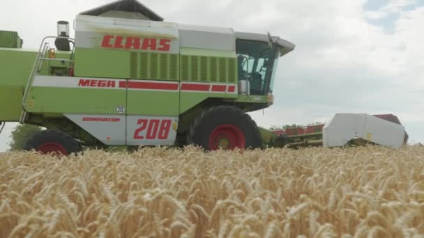 Ukraine Vartekivtsi July 2022 Combine Harvester Harvests Wheat Shears Wheat — Video