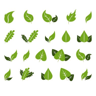 Beyaz arkaplanda yeşil yaprak simgeleri var. Eko kavramı