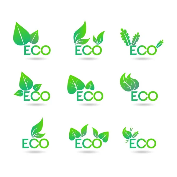 Ecology Icon Set Concept Eco Icons Green Leaf White Background — стоковый вектор