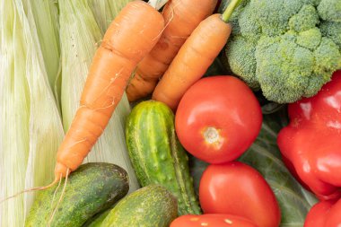 various fresh Vegetables from garden close-up background. vegan concept