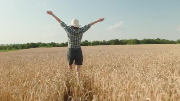 Woman Runing Fun Wheat Field Agriculture Dream Concept Girl Farmer — Wideo stockowe