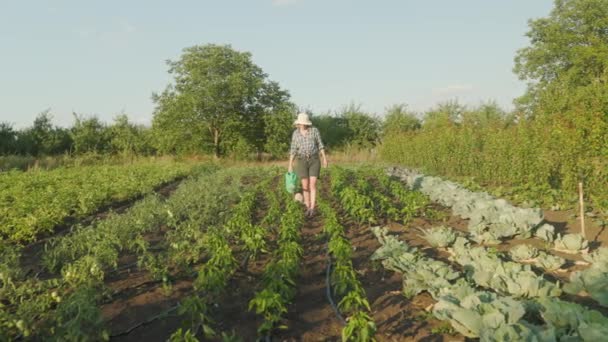 Woman Farmer Walkinfg Inspects Gatden Girl Holds Watering Can Hands — Video