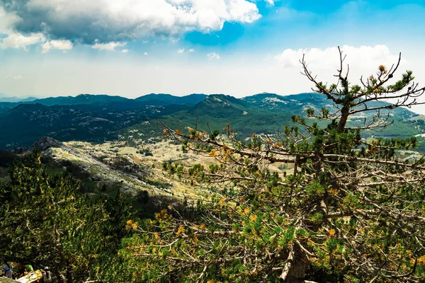 Montenegro Lovcen National Park Mount Lovcen Viewpoint Popular Tourist Attraction — Fotografia de Stock