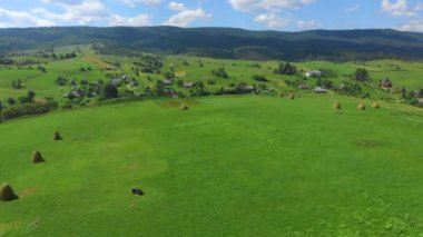 Ukraine. Rural hilly area. Summer. Farm. Ecologically clean area. Drone. Aerial view. Flight over the green meadow. The camera moves forward