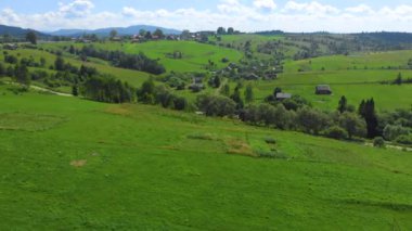 Ukraine. Rural hilly area. Summer. Farm. Ecologically clean area. Drone. Aerial view. Flight over the green meadow. The camera moves forward