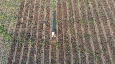 Ukraine. Countryside. Drone. Aerial view. Tractor works in the field. The camera moves behind the tractor