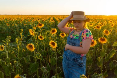 Ukrayna. Yaz akşamı. Ayçiçekli tarlada şapkalı bir kız