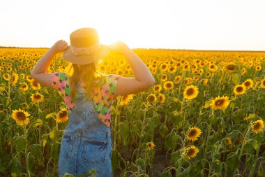 Ukrayna. Yaz akşamı. Ayçiçekli tarlada şapkalı bir kız