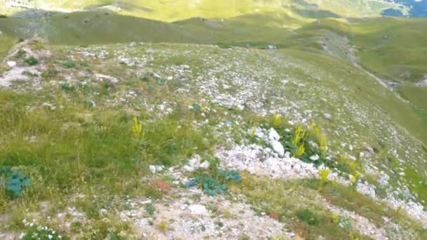 Montenegro Durmitor National Park Sadelpasset Alpängar Bergslandskap Panorama Kameran Rör — Stockvideo