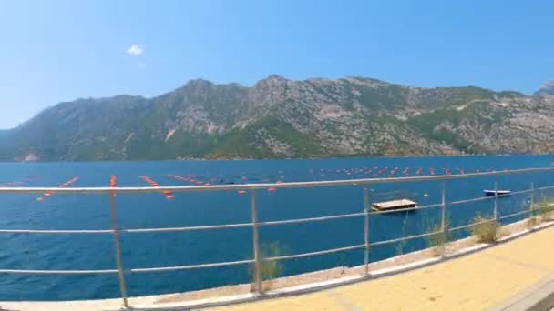 Montenegró Kotori Öböl Osztriga Farm Legnagyobb Öböl Adriai Tengeren Európa — Stock videók