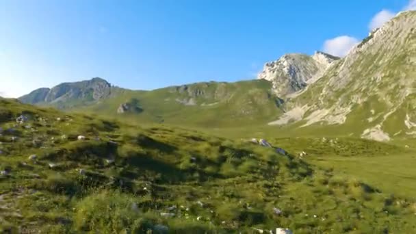 Czarnogóra Park Narodowy Durmitor Przełęcz Alpejskie Łąki Górski Krajobraz Kręcimy — Wideo stockowe