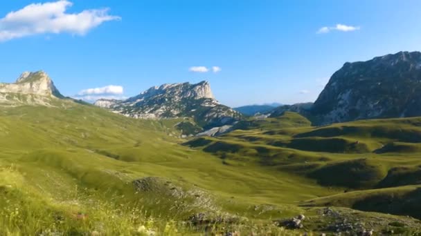 Монтенегро Национальный Парк Дурмитор Седл Пасс Альпийские Луга Горный Пейзаж — стоковое видео