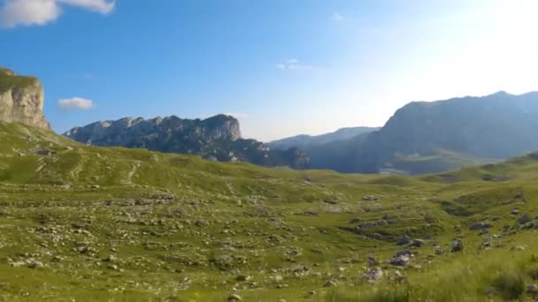Muntenegru Parcul Naţional Durmitor Saddle Pass Pajişti Alpine Peisaj Montan — Videoclip de stoc