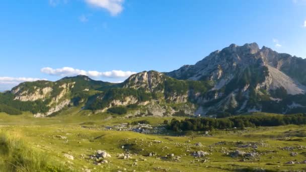 Montenegro Durmitor National Park Sadelpasset Alpängar Bergslandskap Filmning Sker Från — Stockvideo