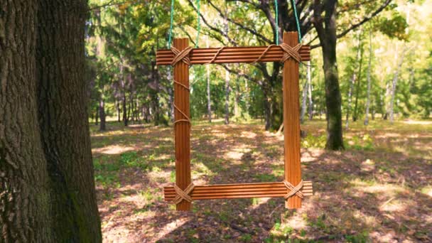 Début Automne Forêt Feuillus Cadre Bois Est Accroché Une Branche — Video