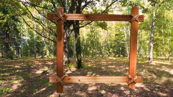 Début Automne Forêt Feuillus Cadre Bois Est Accroché Une Branche — Video