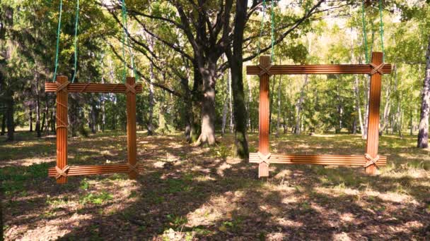 Début Automne Forêt Feuillus Deux Cadres Bois Sont Accrochés Une — Video
