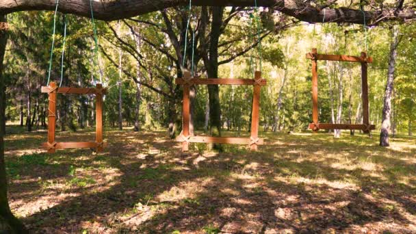 Début Automne Forêt Feuillus Trois Cadres Bois Sont Accrochés Une — Video