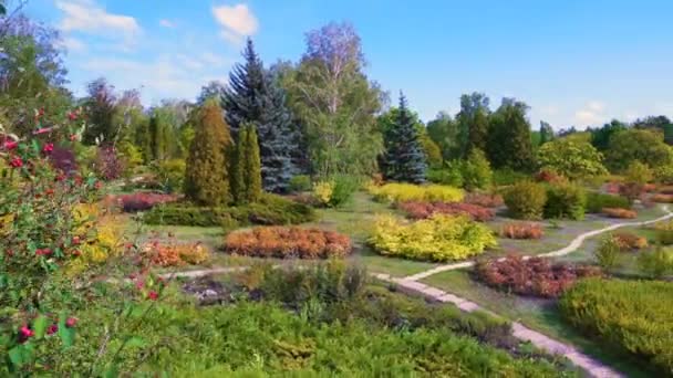 Ukrajnában Krivoy Rog Városa Kora Ősz Park Botanikus Kertben Tájépítészet — Stock videók