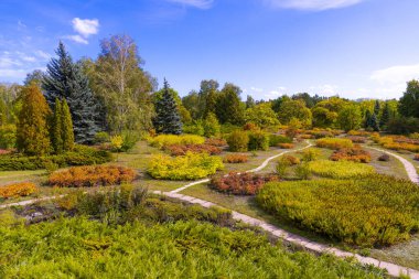 Ukrayna. Krivoy Rog şehri. Sonbaharın başında. Botanik bahçesine park et. İnsan yok. Panorama. Peyzaj tasarımı