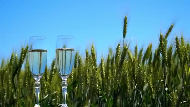 Summer Slunečné Počasí Sklenice Šampaňského Pozadí Pole Zelenou Pšenicí — Stock video
