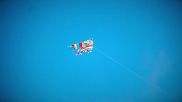 Vliegerfestival Een Kleurrijke Vlieger Vliegt Blauwe Lucht — Stockvideo