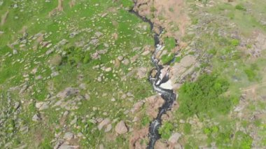 Ukrayna. Dağ manzarası. Drone. Hava görüntüsü. Kayalık bir dağ nehrinin üzerinden uçmak. Kamera ileri gidiyor.