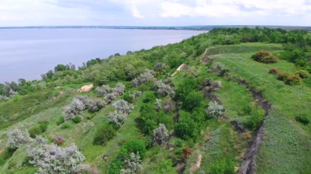 Ukrayna Bahar Kıyı Şeridi Nehrin Yüksek Kıyısında Drone Hava Görüntüsü — Stok video