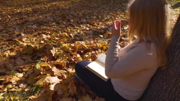 Φθινόπωρο Στο Πάρκο Ηλιόλουστη Μέρα Ένα Κορίτσι Κάθεται Κάτω Από — Αρχείο Βίντεο