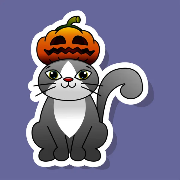 Cat Pumpkin Hat Gray Cat Pumpkin Smiling Pumpkin Illustration Halloween — Stock Vector