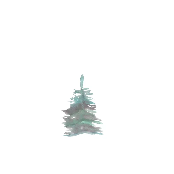 Spruce Watercolor Illustration Beautiful Forest — Stock fotografie