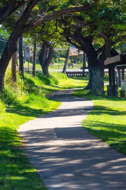 Sahildeki patika, Lahaina, Maui, selam.
